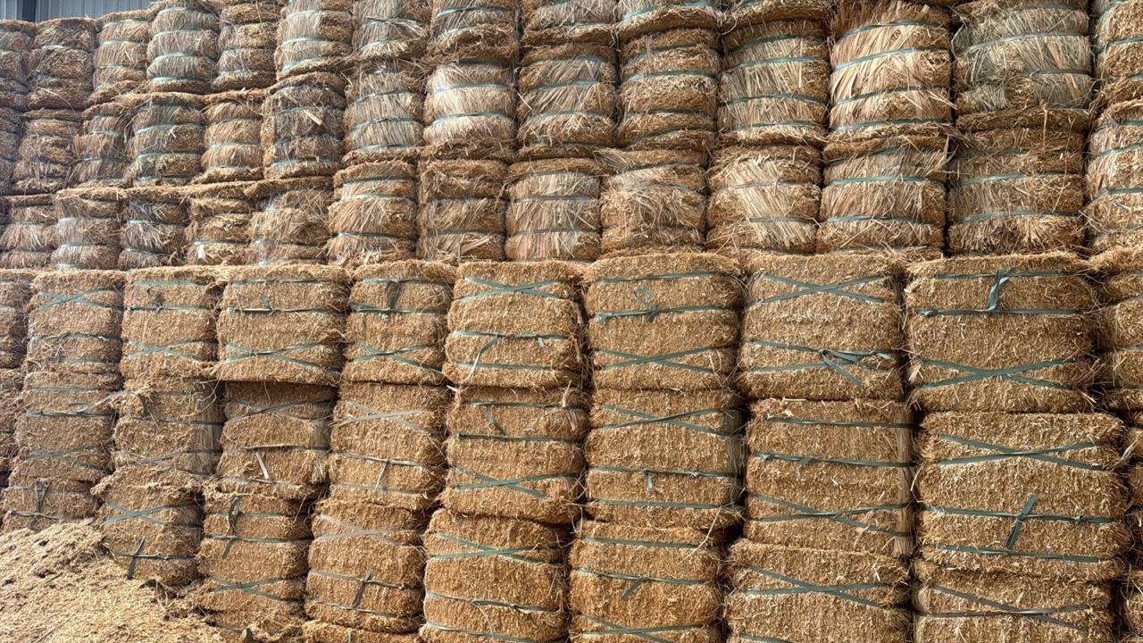 Real photograph of bound rectangular straw bales